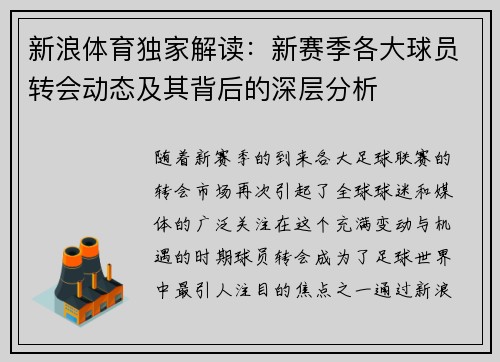 新浪体育独家解读：新赛季各大球员转会动态及其背后的深层分析