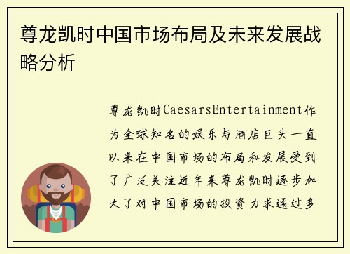 尊龙凯时中国市场布局及未来发展战略分析